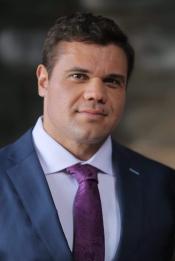 Default image (Stanford Tree)